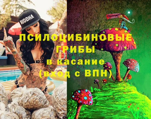 твердый Покровск